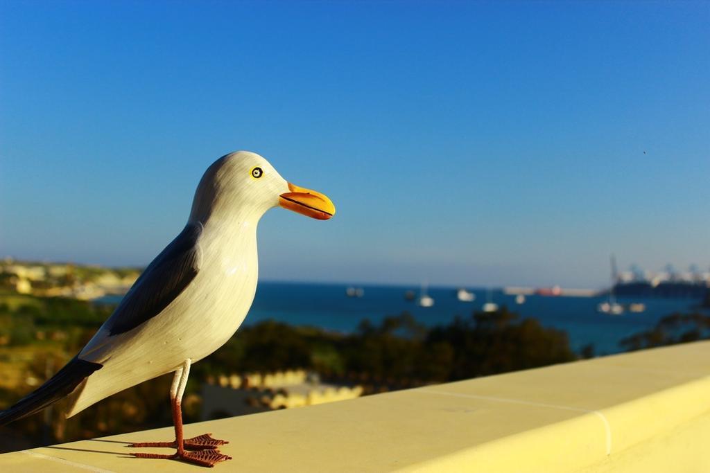 Апартаменти Seagull Penthouse Марсашлокк Екстер'єр фото
